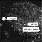 دانلود آهنگ آهای فریاد فریاد عزیزم داره میاد امید