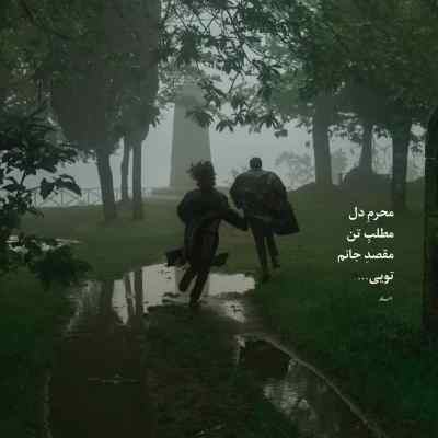 دانلود آهنگ  برو که بی حقیقتی تو قلب من جات نیست هایده