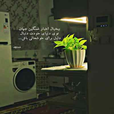 دانلود آهنگ  دلم میخواد یه مرگ مغزی دیان