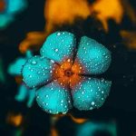 دانلود آهنگ غم گرفته همه کوچه های مارو