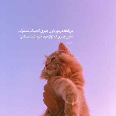 دانلود آهنگ  قصه صوتی شنگول و منگول با صدای مریم نشیبا