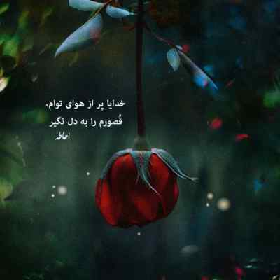 دانلود آهنگ  حالا چه وقت دیوونگی بود با صدای هانیه