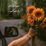 دانلود آهنگ جهان دیوونه ای بی دردسر میخواست دانلود آهنگ جهان دیوونه ای بی دردسر میخواست