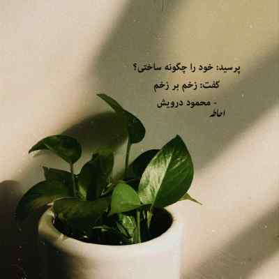 دانلود آهنگ  کدوم کوه و کمر نقش تو داره یار سیما بینا