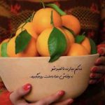 دانلود آهنگ پر میکشه دلم واسه تو خوشگلم محمد محرمی