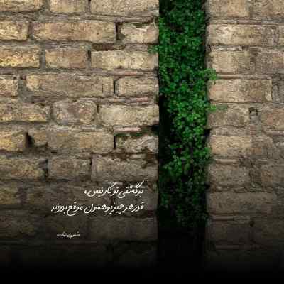دانلود آهنگ  شبانگه به سر فکر تاراج داشت همای