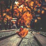 دانلود آهنگ ﺗﺎ ﻣﻴﺎد اﺳﻤﻢ روی ﻟﺒﺖ دﺳﺘﻤﻮ ﻣﻴﻜﻨﻢ ﻣﻦ ﺑﺎﻟﺶ زﻳﺮ ﺳﺮت