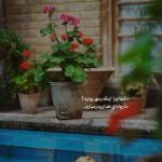 دانلود آهنگ آرمین نصرتی به من میگن گل پری دل نمیدم سرسری