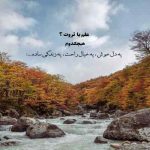 دانلود آهنگ بیژن بیژنی مرنجان دلم را که این مرغ وحشی
