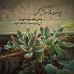 دانلود آهنگ ای ناز عروس این شب رویایی امشب چقدر خوشگل و زیبایی