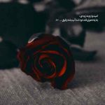 دانلود آهنگ شدم عاشقت منو بی تابو گرفتار از مجتبی بدری دانلود آهنگ شدم عاشقت منو بی تابو گرفتار از مجتبی بدری