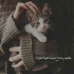 دانلود آهنگ سیامک عباسی برم یا بمونم دانلود آهنگ سیامک عباسی برم یا بمونم