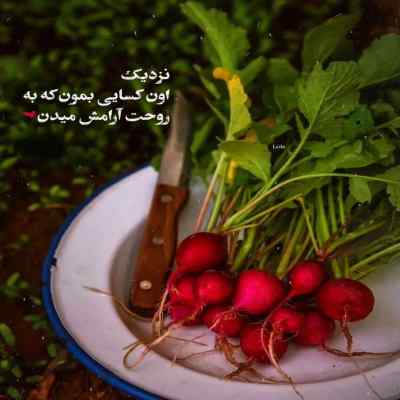 دانلود آهنگ  امشب پر از شعرم پر از شورم با صدای زن