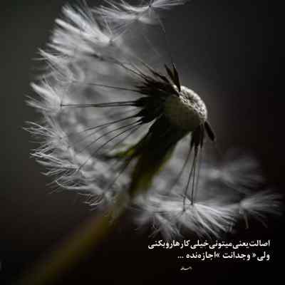 دانلود آهنگ  سرزمین برتر از علی سورنا