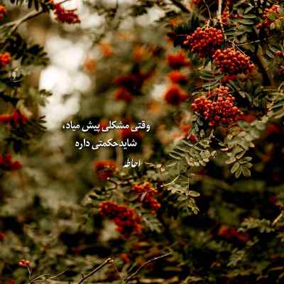 دانلود آهنگ  ندا 2 از علی سورنا امیر خلوت مسلک تس شایع