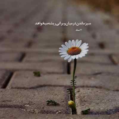 دانلود آهنگ  با برف بعدی زنگ بزن هنوز منتظرتم اینستا