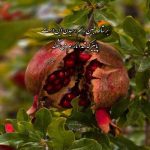 دانلود آهنگ دست به دست من بده برات بگم با صدای حسین پارسا