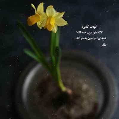 دانلود آهنگ  کجایی آرزوی محال کجایی دیدمت رفتی از حمید صفت