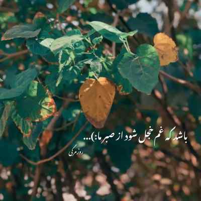 دانلود آهنگ  بترس از محسن چاوشی محسن یگانه حامد هاکان هوش مصنوعی