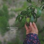 دانلود آهنگ نشد بشیم همیشگی ما