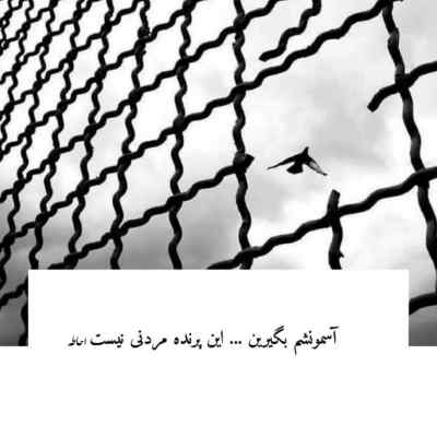 دانلود آهنگ  آوار از علی سورنا و محمدرضا شجریان
