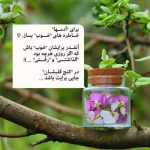 دانلود آهنگ شیرین شیرین ناز شیرین شیرین بشکسته