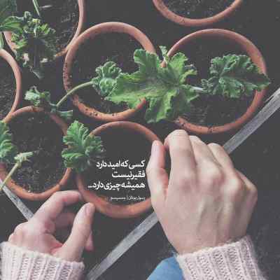 دانلود آهنگ  زنگ بزن آمبولانس اینم از شانس ماست مسلم فتاحی