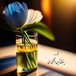 دانلود آهنگ گلی خوشگلی گلی دلبری با صدای زن