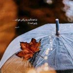 دانلود ریمیکس تو که نیستی شبا جاده ریمیکس با صدای زن