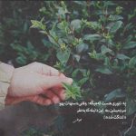 دانلود آهنگ تو نفس منى منى با صدای زن دانلود آهنگ تو نفس منى منى با صدای زن