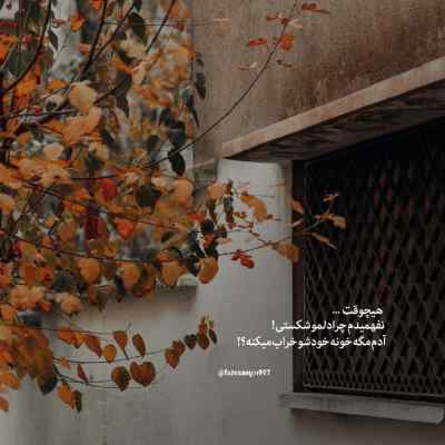 دانلود آهنگ  انار نو رسیده اینستا