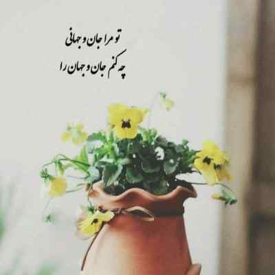 دانلود آهنگ  برقص ای لاله ناز همیشه شاد و طناز تو اوجی و من در آرزوی پرواز