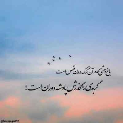 دانلود آهنگ  کشته منو نگاهش با اون چشای سیاهش از تابش