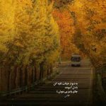 دانلود آهنگ معین یه کاسه گندم میریزم