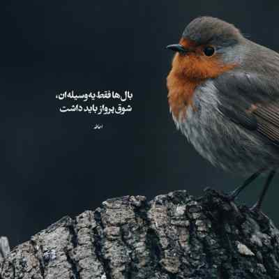 دانلود آهنگ  آسمون بازم ببار که حالم خرابه از مرتضی جعفرزاده