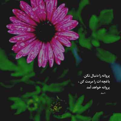 دانلود آهنگ  نزن از خنه بیرون نشو سمت بلیرون پوری تاک داون خلسه