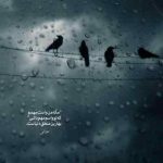 دانلود ریمیکس صدام که میکنی جانم میشنوی