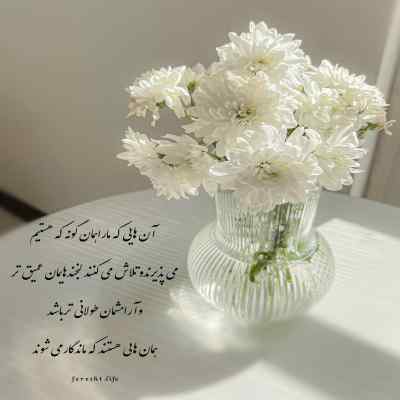 دانلود آهنگ  قلب قلب