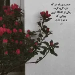 دانلود آهنگ شب و روز در پی دیدار توام از ابوالفضل رحیمی