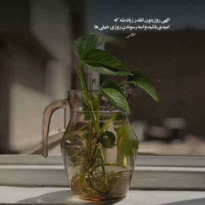 دانلود آهنگ  تو ای یارا تو که قلبت کویره از ابوالفضل رحیمی