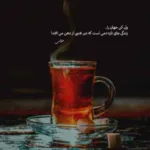 دانلود آهنگ علی عبدالمالکی مسافرم