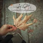 دانلود آهنگ علی زند وکیلی مرا ببین ای که بی تو منم