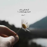 دانلود آهنگ علیرضا قربانی بی قرار