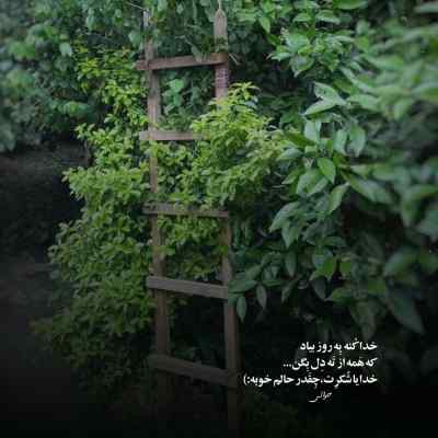 دانلود آهنگ  ناز ناز نازتو بنازم از امین ملاها