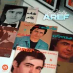 دانلود آهنگ مدلی از عارف