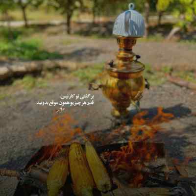 دانلود آهنگ  عطر تو بوی بهاره