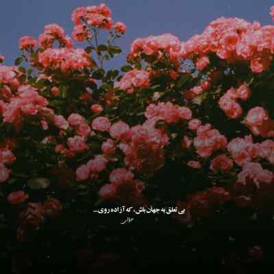 دانلود آهنگ  قلب متروکم خالیه حمیدرضا بابایی تتلو حصین شایع بهرام یاس