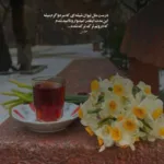 دانلود آهنگ بعد از نسترن هیچی دیگه نمونده باقی