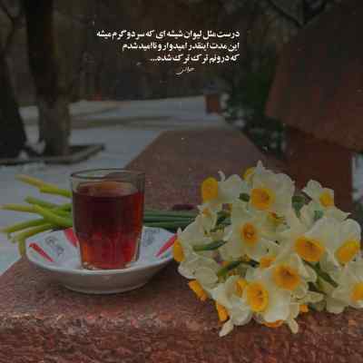 دانلود آهنگ  بعد از نسترن هیچی دیگه نمونده باقی