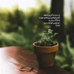 دانلود آهنگ باس برم اینجا جا من نی باس برم این کار کارم نی
